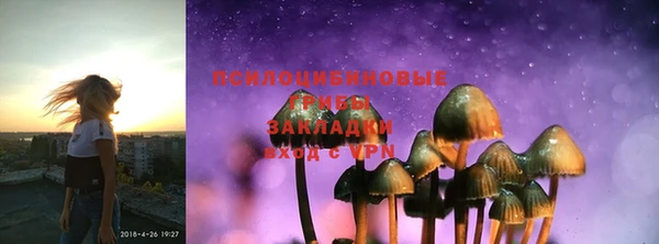 ешки Кинешма